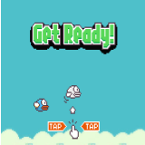 The little bird flies and flies